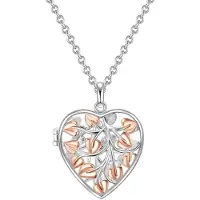 Rafaela Donata Ketting goud / zilver