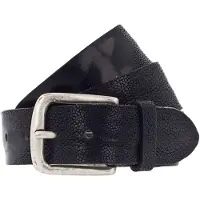 Vanzetti Riem marine