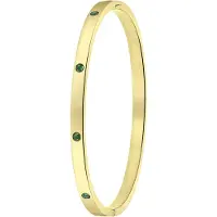 Lucardi Armband goud / groen