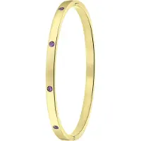 Lucardi Armband goud / lila