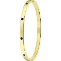 Lucardi Armband goud