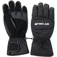 Whistler Slough Skihandschoenen