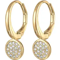 Elli Oorbellen goud / zilver