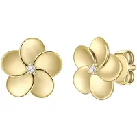 Rafaela Donata Oorbellen goud / zilver