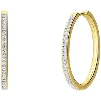 Lucardi Oorbellen 'Funkelndes' goud / zilver