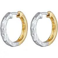 Elli Oorbellen goud / zilver