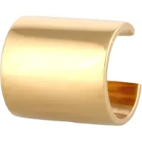 KUZZOI Oorbel goud