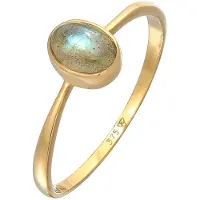 Elli PREMIUM Ring goud