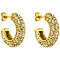 Purelei Oorbellen goud / transparant