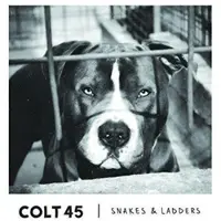 Cd Snakes & Ladders - Cd