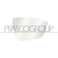 PRASCO ST8107511 Spiegelglas, buitenspiegel