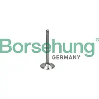 Borsehung B19000 Uitlaatklep