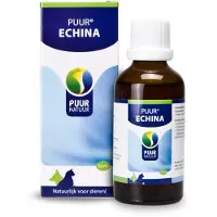 Puur Echina Hond/Kat