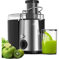Royalty Line PJ19001 Juicer - Sapcentrifuge voor Groenten & Fruit - Met 450ml Sapbeker en 1500ml Pulpreservoir - 3 Snelheden - 700W - RVS
