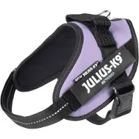 Julius-K9 IDC Powertuig Paars - maat Mini