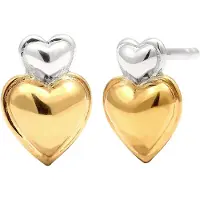 Elli Oorbellen goud / zilver