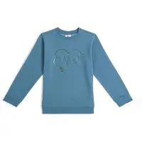 O'Neill Sweatshirt duifblauw
