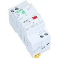 Schneider Electric R9D01620 Aardlekschakelaar/zekeringautomaat 0.03 A