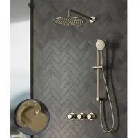 Saniclear Plus Stripes inbouw regendouche met 30cm hoofddouche, muurarm en glijstang geborsteld messing - mat goud