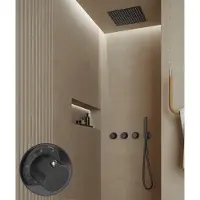 Saniclear Plus Stripes inbouw regendouche met inbouw douchekop 30x30cm en staafhanddouche verouderd ijzer - gunmetal