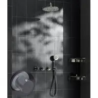 Saniclear Plus Stripes inbouw regendouche met 20cm hoofddouche en muurarm chroom