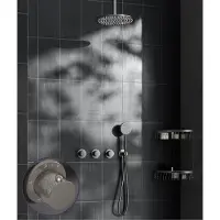 Saniclear Plus Curved inbouw regendouche met 30cm hoofddouche en plafondarm RVS