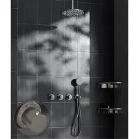 Saniclear Plus Stripes inbouw regendouche met 30cm hoofddouche en plafondarm RVS