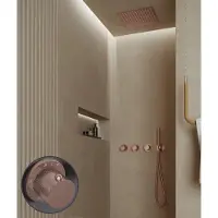 Saniclear Plus Curved inbouw regendouche met inbouw douchekop 30x30cm en staafhanddouche geborsteld koper