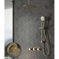 Saniclear Plus Stripes inbouw regendouche met 20cm hoofddouche, plafondarm en glijstang geborsteld messing - mat goud