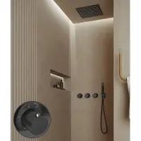 Saniclear Plus Stripes Pro inbouw regendouche met inbouw douchekop 30x30cm en staafhanddouche verouderd ijzer - gunmetal