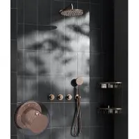 Saniclear Plus Curved inbouw regendouche met 30cm hoofddouche en muurarm geborsteld koper