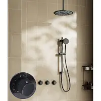 Saniclear Plus Stripes inbouw regendouche met 30cm hoofddouche, plafondarm en glijstang zwart mat