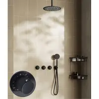 Saniclear Plus Stripes inbouw regendouche met 20cm hoofddouche en plafondarm zwart mat