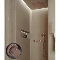 Saniclear Plus Stripes inbouw regendouche met inbouw douchekop 30x30cm en 2 standen handdouche geborsteld koper