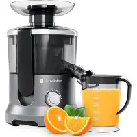 Kitchenbrothers Sapcentrifuge - Voor Groenten en Fruit - Juicer - Met Pulpcontainer - 500ml - 600W - Zilver/Grijs