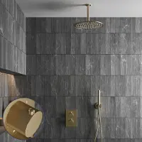 Saniclear Brass Stripes inbouw regendouche met 20cm hoofddouche en plafondarm geborsteld messing - mat goud
