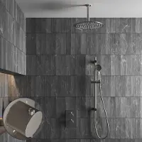 Saniclear Exclusive Stripes inbouw regendouche met 20cm hoofddouche, plafondarm, 3 standen handdouche en glijstang RVS