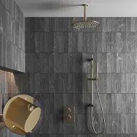 Saniclear Brass Stripes inbouw regendouche met 30cm hoofddouche, plafondarm en glijstang geborsteld messing - mat goud