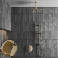 Saniclear Brass Stripes inbouw regendouche rond met 20cm hoofddouche, plafondarm en glijstang geborsteld messing - mat goud