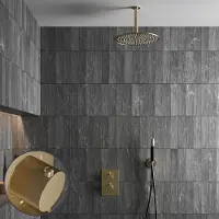 Saniclear Brass Stripes Pro inbouw regendouche met 20cm hoofddouche en plafondarm geborsteld messing - mat goud