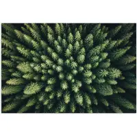 PosterMonkey Poster 90x60 cm - Bomen - Naaldwoud - Structuur - Posters - Kamer decoratie - Wanddecoratie woonkamer - Muurdecoratie slaapkamer