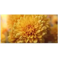 PosterMonkey Poster 160x80 cm - Geel - Chrysant - Zachtheid - Posters - Kamer decoratie - Wanddecoratie woonkamer - Muurdecoratie slaapkamer