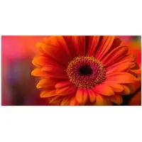 PosterMonkey Poster 150x75 cm - Oranje - Gerbera - Intens - Posters - Kamer decoratie - Wanddecoratie woonkamer - Muurdecoratie slaapkamer
