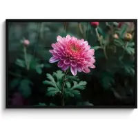 PosterMonkey Poster in lijst - Fotolijst 120x80 cm - Posters - Blad - Chrysant - Roze - Schaduw - Posterlijst zwart - Decoratie - Wanddecoratie woonkamer - Muurdecoratie slaapkamer
