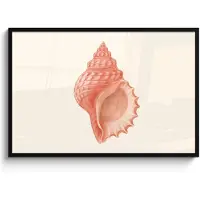 PosterMonkey Poster in lijst - Fotolijst 120x80 cm - Posters - Schelp - Roze - Structuur - Posterlijst zwart - Decoratie - Wanddecoratie woonkamer - Muurdecoratie slaapkamer