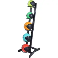Lifemaxx LMX Medicijnballen Opbergrek - Voor 5 Medicineballen