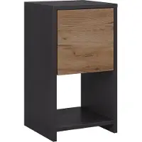 Vicco Evo Nachtkastje – 30 x 55 cm met 3 laden Antraciet/gouden eik