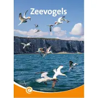 Documentatiecentrum Zeevogels (Hardback)