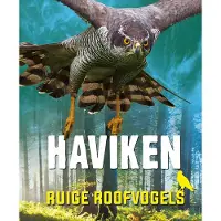 CORONA Haviken (Hardback)