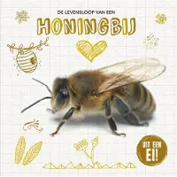 CORONA De levensloop van de honingbij (Hardback)